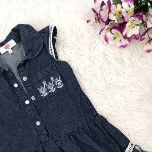 🌈 Monkey Bars Toddler Girl Denim Flare Dress 🌈